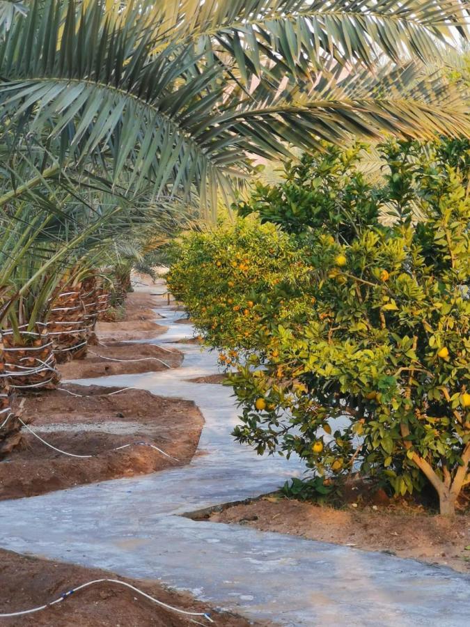 Almazham Camp Resort Al Ula Exterior foto